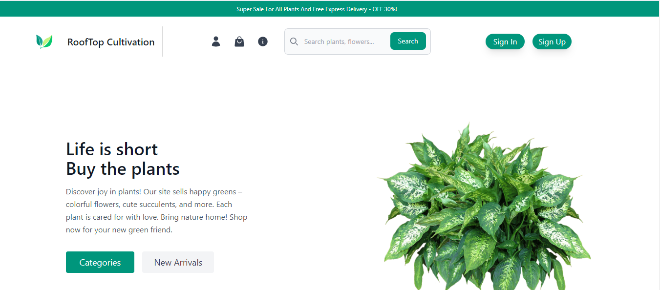 Image of Rooftop cultivation